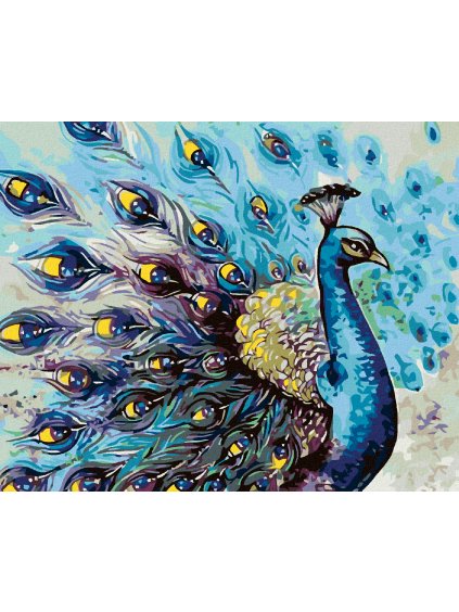 Diamantové maľovanie - PYŠNÝ PÁV (Rámovanie bez rámu a bez vypnutia plátna, Rozmer 40x50 cm)