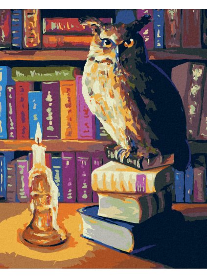 Diamantové maľovanie - SOVA V KNIŽNICE (Rámovanie bez rámu a bez vypnutia plátna, Rozmer 40x50 cm)