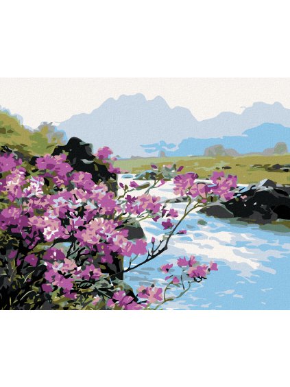 Diamantové maľovanie - ROZKVITNUTÉ KVETY PRI RIEKE (Rámovanie bez rámu a bez vypnutia plátna, Rozmer 40x50 cm)