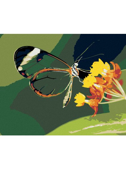 Diamantové maľovanie - MOTÝĽ A KVETY (Rámovanie bez rámu a bez vypnutia plátna, Rozmer 40x50 cm)