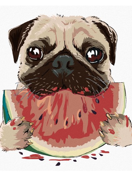 Diamantové maľovanie - PES S MELÓNOM (Rámovanie bez rámu a bez vypnutia plátna, Rozmer 40x50 cm)