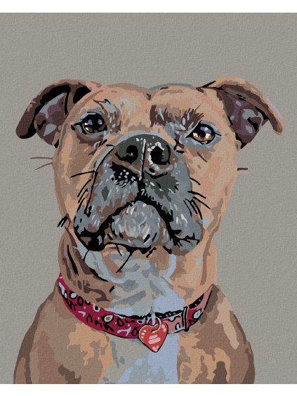 Diamantové maľovanie - PES V POZORE A SRDIEČKOVÝ OBOJOK (Rámovanie bez rámu a bez vypnutia plátna, Rozmer 40x50 cm)