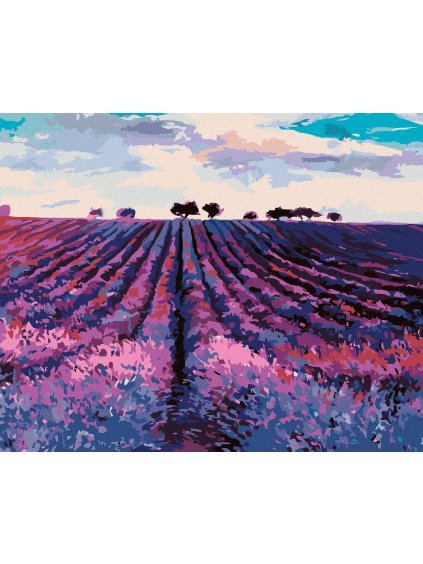 Diamantové maľovanie - LEVANDUĽOVÉ POLE A STROMY V DIAĽKE (Rámovanie bez rámu a bez vypnutia plátna, Rozmer 40x50 cm)