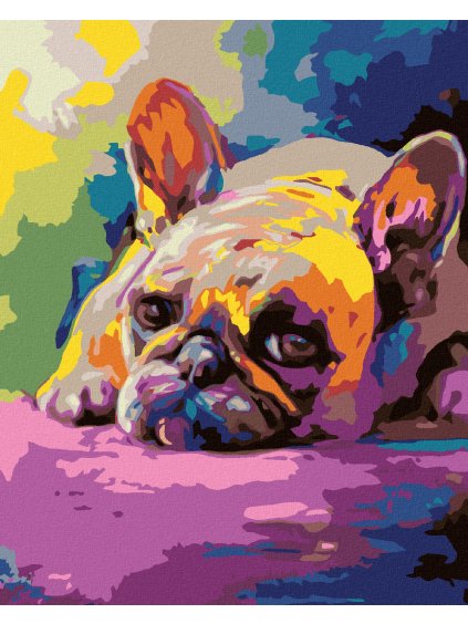 Diamantové maľovanie - LEŽIACI BULDOČEK (Rámovanie bez rámu a bez vypnutia plátna, Rozmer 40x50 cm)
