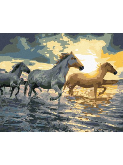 Diamantové maľovanie - KONE VO VODE (Rámovanie bez rámu a bez vypnutia plátna, Rozmer 40x50 cm)