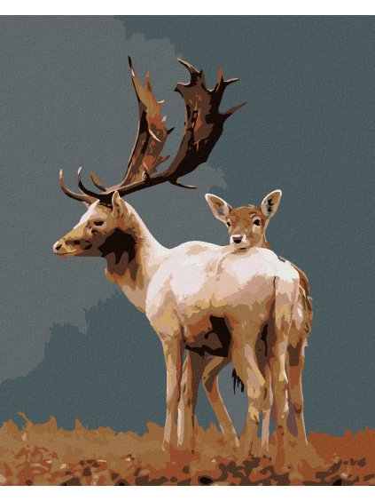 Diamantové maľovanie - DANIEL S LAŇOU (Rámovanie bez rámu a bez vypnutia plátna, Rozmer 40x50 cm)