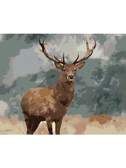 Diamantové maľovanie - DOSPELÝ JELEŇ (Rámovanie bez rámu a bez vypnutia plátna, Rozmer 40x50 cm)