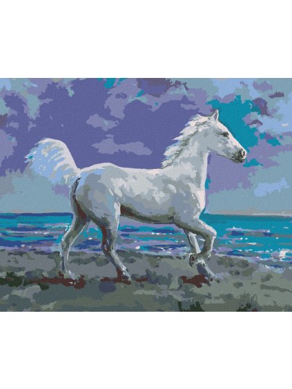 Diamantové maľovanie - BIELY KÔŇ NA BREHU (Rámovanie bez rámu a bez vypnutia plátna, Rozmer 40x50 cm)