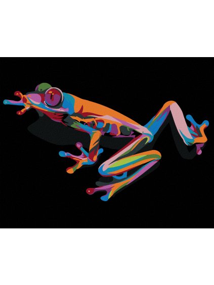 Diamantové maľovanie - FAREBNÁ ŽABKA (Rámovanie bez rámu a bez vypnutia plátna, Rozmer 40x50 cm)