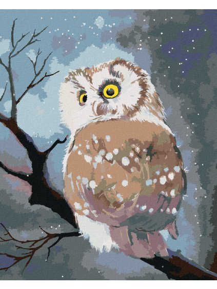 Diamantové maľovanie - ZIMNÁ SOVA (Rámovanie bez rámu a bez vypnutia plátna, Rozmer 40x50 cm)