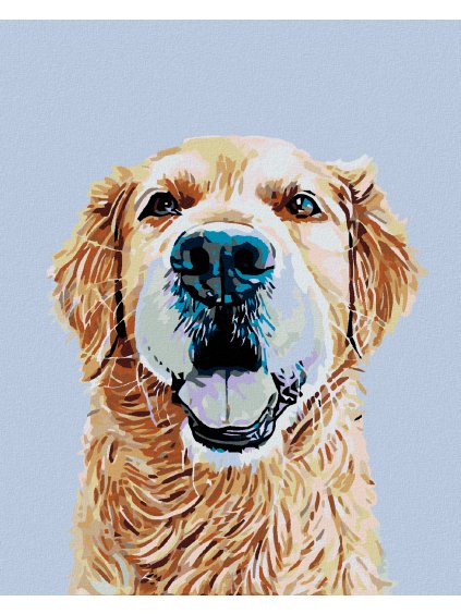 Diamantové maľovanie - ZLATÝ RETRÍVER (Rámovanie bez rámu a bez vypnutia plátna, Rozmer 40x50 cm)