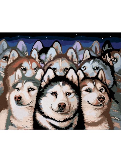 Diamantové maľovanie - TLUPA HUSKY (Rámovanie bez rámu a bez vypnutia plátna, Rozmer 40x50 cm)