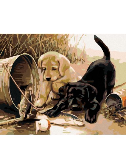 Diamantové maľovanie - ŠTENIATKA S RYBOU (Rámovanie bez rámu a bez vypnutia plátna, Rozmer 40x50 cm)