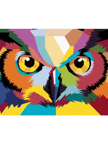 Diamantové maľovanie - POP ART SOVA (Rámovanie bez rámu a bez vypnutia plátna, Rozmer 40x50 cm)