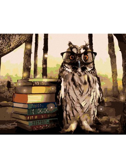 Diamantové maľovanie - SOVA S KNIHAMI (Rámovanie bez rámu a bez vypnutia plátna, Rozmer 40x50 cm)
