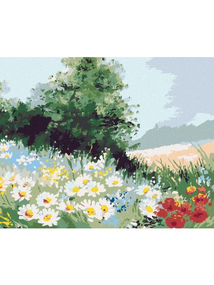 Diamantové maľovanie - POLE SEDMOKRÁSOK (Rámovanie bez rámu a bez vypnutia plátna, Rozmer 40x50 cm)