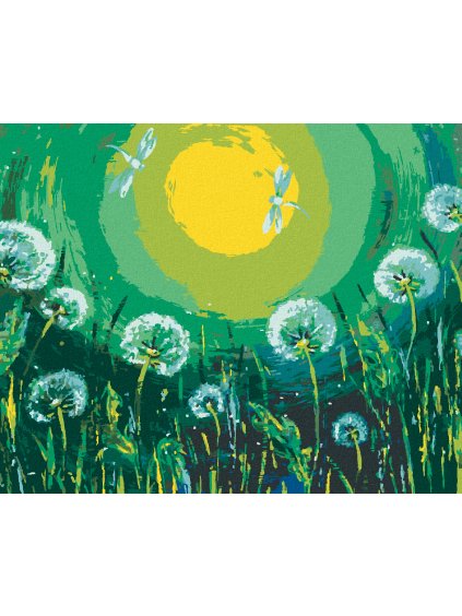 Diamantové maľovanie - PÚPAVY A VÁŽKY (Rámovanie bez rámu a bez vypnutia plátna, Rozmer 40x50 cm)