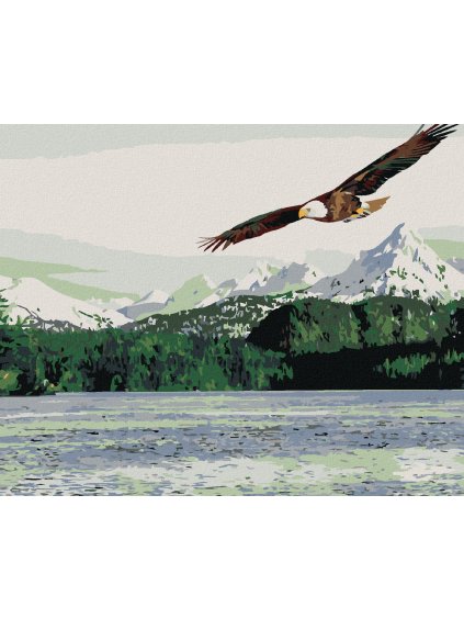 Diamantové maľovanie - MORSKÝ OROL (Rámovanie bez rámu a bez vypnutia plátna, Rozmer 40x50 cm)