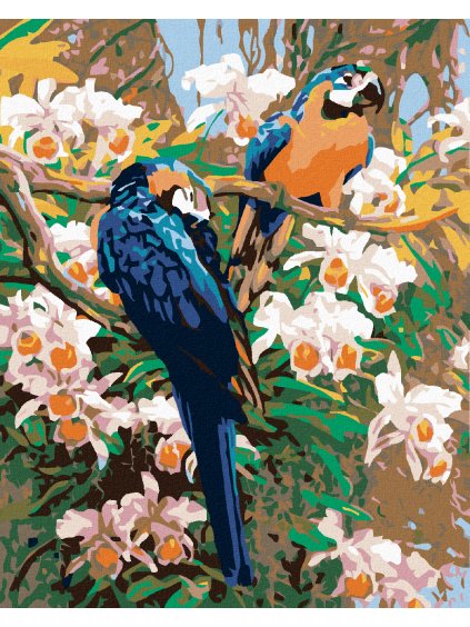 Diamantové maľovanie - PAPAGÁJI II (Rámovanie bez rámu a bez vypnutia plátna, Rozmer 40x50 cm)