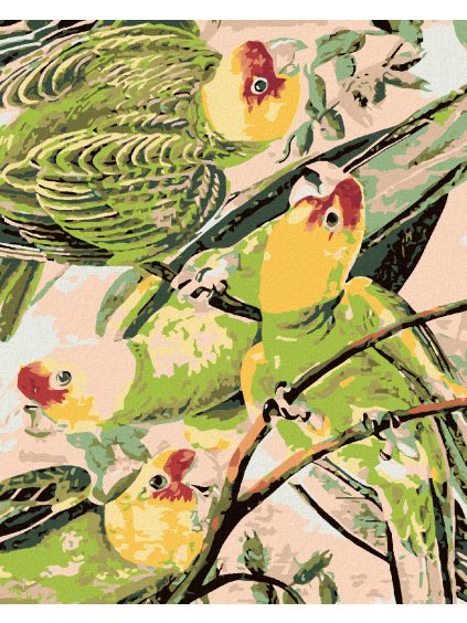 Diamantové maľovanie - PAPAGÁJI NA VETVIČKE (Rámovanie bez rámu a bez vypnutia plátna, Rozmer 40x50 cm)