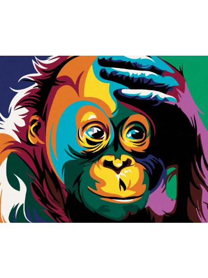 Diamantové maľovanie - MALÁ FAREBNÁ OPIČKA (Rámovanie bez rámu a bez vypnutia plátna, Rozmer 40x50 cm)