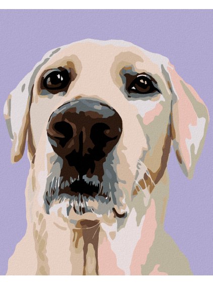 Diamantové maľovanie - LABRADORSKÝ RETRÍVER (Rámovanie bez rámu a bez vypnutia plátna, Rozmer 40x50 cm)