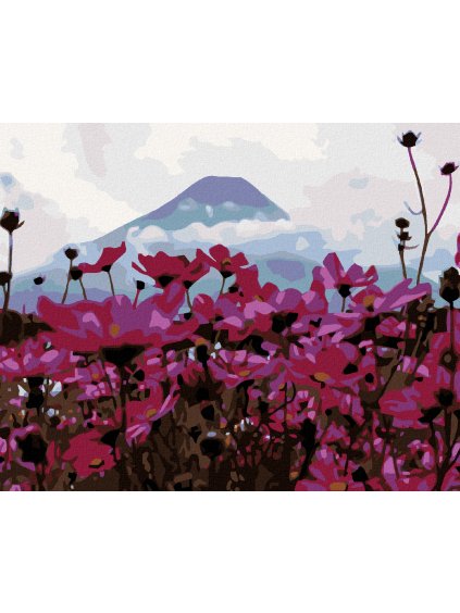 Diamantové maľovanie - LÚČNE KVETY V HORÁCH (Rámovanie bez rámu a bez vypnutia plátna, Rozmer 40x50 cm)