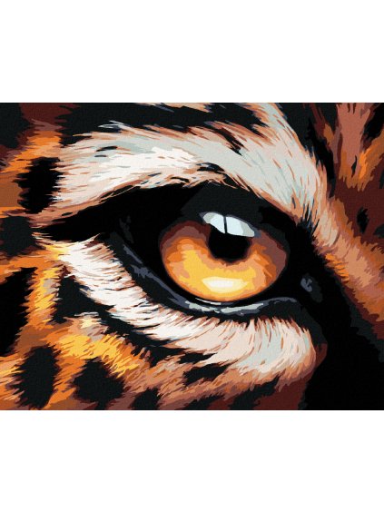 Diamantové maľovanie - LEOPARDIE OKO (Rámovanie bez rámu a bez vypnutia plátna, Rozmer 40x50 cm)