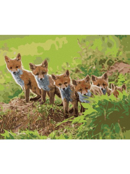 Diamantové maľovanie - LÍŠKA A JEJ PARTA (Rámovanie bez rámu a bez vypnutia plátna, Rozmer 40x50 cm)