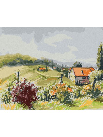 Diamantové maľovanie - KRAJINA S VINICAMI (Rámovanie bez rámu a bez vypnutia plátna, Rozmer 40x50 cm)