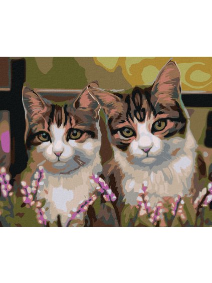 Diamantové maľovanie - MAČKY V TRÁVE (Rámovanie bez rámu a bez vypnutia plátna, Rozmer 40x50 cm)