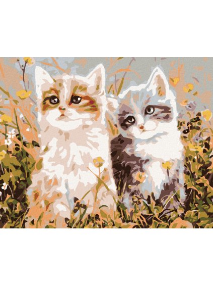 Diamantové maľovanie - MAČIATKA A LÚČNE KVETY (Rámovanie bez rámu a bez vypnutia plátna, Rozmer 40x50 cm)