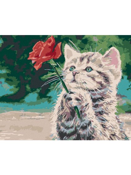 Diamantové maľovanie - MAČIATKO A ČERVENÁ RUŽA (Rámovanie bez rámu a bez vypnutia plátna, Rozmer 40x50 cm)