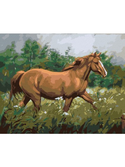 Diamantové maľovanie - HNEDÝ KÔŇ NA PASTVE V LESE (Rámovanie bez rámu a bez vypnutia plátna, Rozmer 40x50 cm)