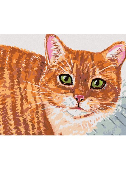 Diamantové maľovanie - BÉŽOVÁ MAČKA A ZELENÉ OČI (Rámovanie bez rámu a bez vypnutia plátna, Rozmer 40x50 cm)