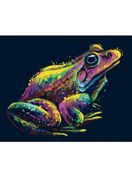 Diamantové maľovanie - FAREBNÁ ŽABA (Rámovanie bez rámu a bez vypnutia plátna, Rozmer 40x50 cm)