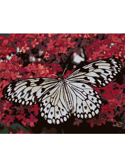 Diamantové maľovanie - BIELY MOTÝĽ A ČERVENÉ KVETY (Rámovanie bez rámu a bez vypnutia plátna, Rozmer 40x50 cm)