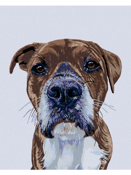 Diamantové maľovanie - PSÍ POHĽAD (Rámovanie bez rámu a bez vypnutia plátna, Rozmer 40x50 cm)