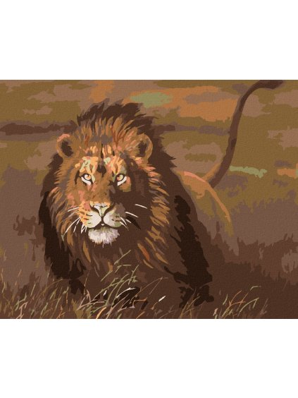 Diamantové maľovanie - LEV NA SAVANE (Rámovanie bez rámu a bez vypnutia plátna, Rozmer 40x50 cm)