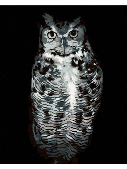 Diamantové maľovanie - ČIERNOBIELA SOVA (Rámovanie bez rámu a bez vypnutia plátna, Rozmer 40x50 cm)