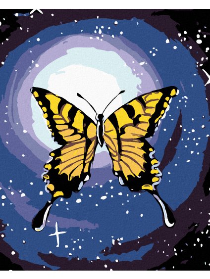 Diamantové maľovanie - MOTÝĽ A NOČNÁ OBLOHA (Rámovanie bez rámu a bez vypnutia plátna, Rozmer 40x50 cm)