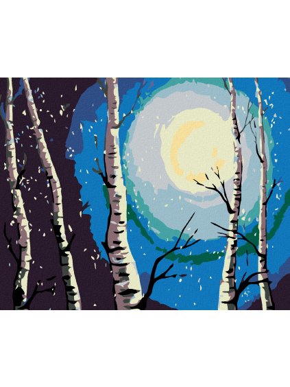 Diamantové maľovanie - BREZY MESIAC A PADAJÚCI SNEH (Rámovanie bez rámu a bez vypnutia plátna, Rozmer 40x50 cm)