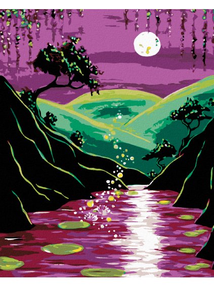 Diamantové maľovanie - NOČNÁ PRÍRODA A SPLN (Rámovanie bez rámu a bez vypnutia plátna, Rozmer 40x50 cm)