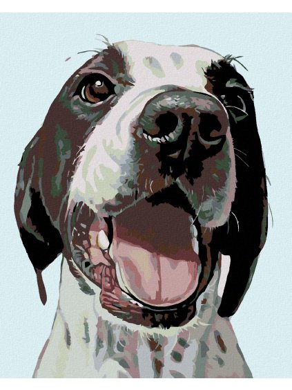 Diamantové maľovanie - ŠŤASTNÝ PES (Rámovanie bez rámu a bez vypnutia plátna, Rozmer 40x50 cm)