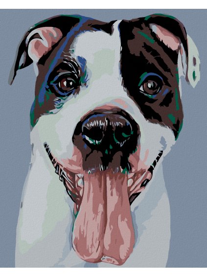 Diamantové maľovanie - ČIERNOBIELY PSÍK (Rámovanie bez rámu a bez vypnutia plátna, Rozmer 40x50 cm)