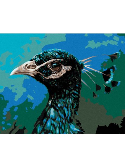 Diamantové maľovanie - PÁVÍ PROFIL (Rámovanie bez rámu a bez vypnutia plátna, Rozmer 40x50 cm)
