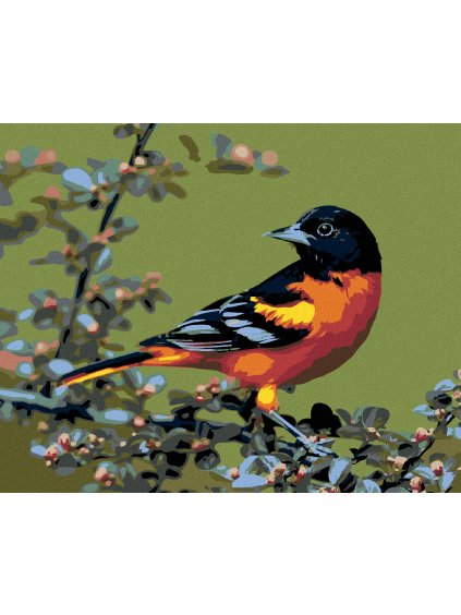 Diamantové maľovanie - KARDINÁL ČIERNOHLAVÝ (Rámovanie bez rámu a bez vypnutia plátna, Rozmer 40x50 cm)