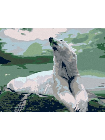 Diamantové maľovanie - ĽADOVÝ MEDVEĎ (Rámovanie bez rámu a bez vypnutia plátna, Rozmer 40x50 cm)