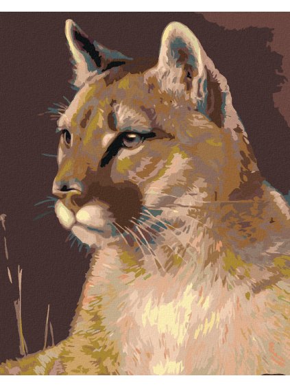 Diamantové maľovanie - PUMA (Rámovanie bez rámu a bez vypnutia plátna, Rozmer 40x50 cm)