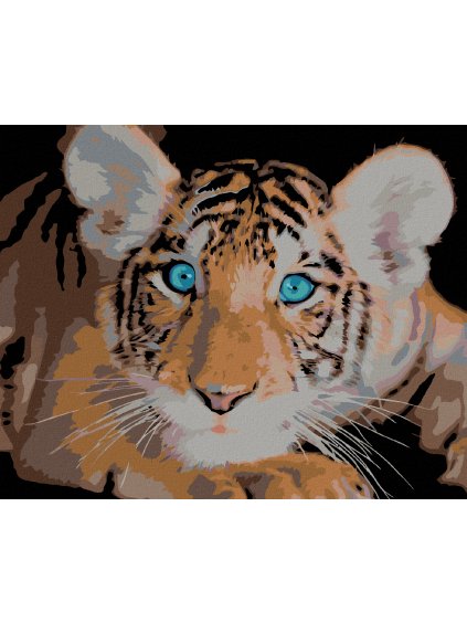 Diamantové maľovanie - TIGRÍK MODROOČKO (Rámovanie bez rámu a bez vypnutia plátna, Rozmer 40x50 cm)
